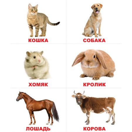 Лото. Тварини. Від 1 року