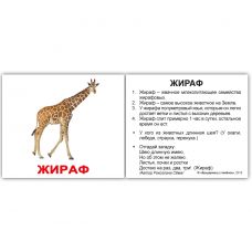 Комплект карток "Дикі тварини з фактами" МІНІ 40