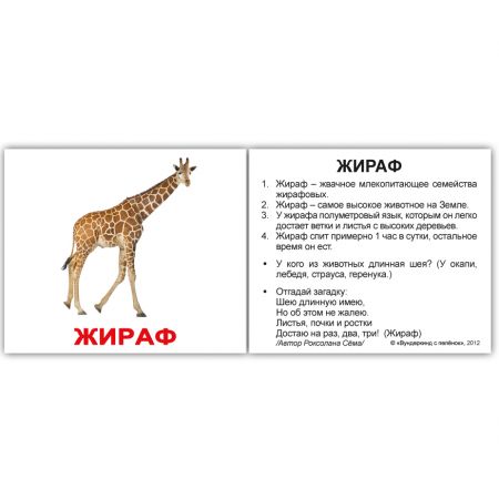 Комплект карток "Дикі тварини з фактами" МІНІ 40
