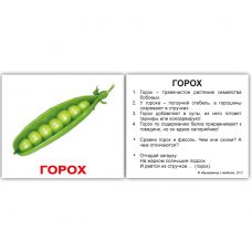 Комплект карток "Овочі з фактами" МІНІ 40