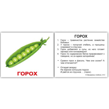 Комплект карток "Овочі з фактами" МІНІ 40
