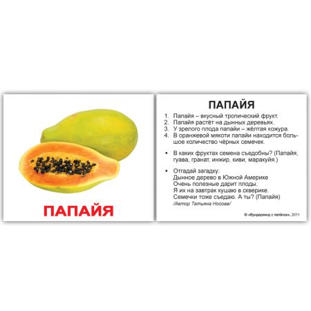 Комплект карток "Фрукти з фактами" МІНІ 40
