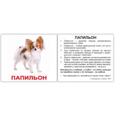 "Породи собак із фактами" МІНІ 40