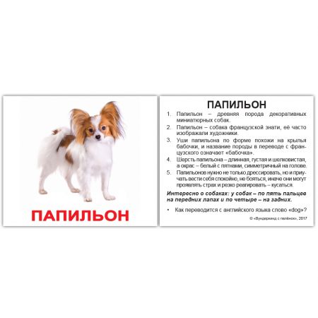 "Породи собак із фактами" МІНІ 40