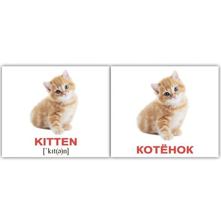 Комплект карток "Domestic animals/Дом.жив." МІНІ 40