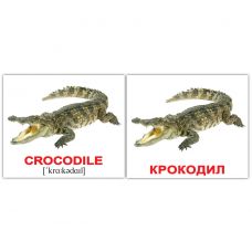 Комплект карток "Водні тварини/Water animals" МІНІ 40