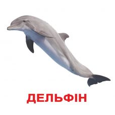 "Мои первые знания" большие с фактами  (от 6 месяцев до 5 лет) укр.