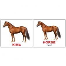 "Домашні тварини / Domestic animals" міні 40