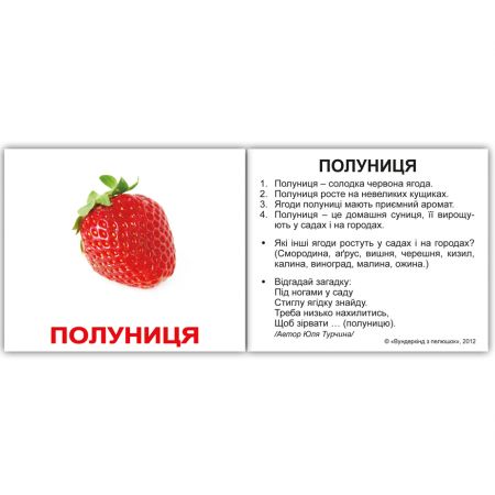 "Фрукти з фактами" міні 40
