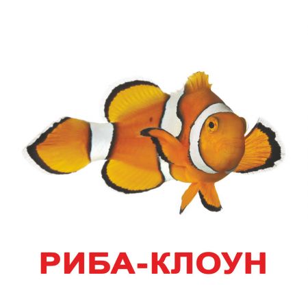 «Жители водоемов» большие с фактами укр.