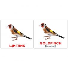 "Птахи / Birds" міні 40