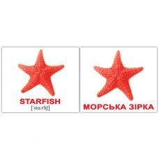 "Водяні тварини / Water animals" міні 40