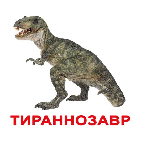 Комплект карток "Динозаври" великі з фактами